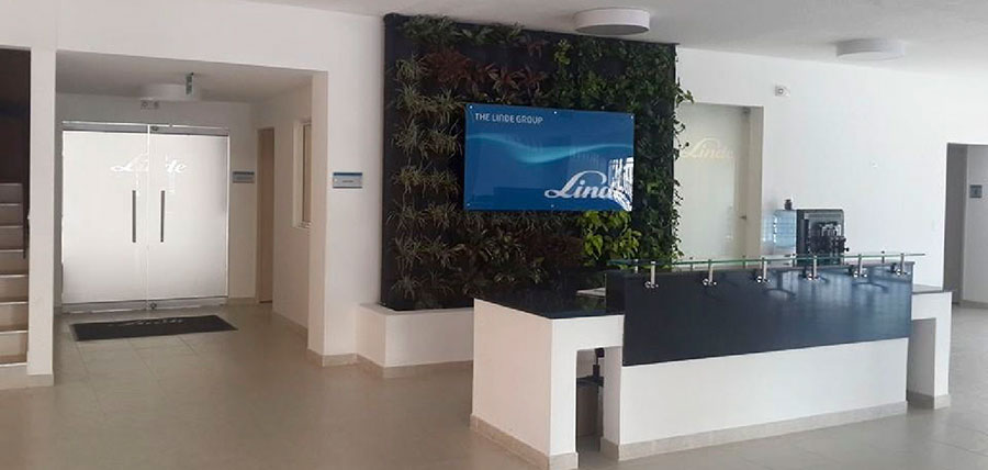 clinica-remeo-linde-cali-7